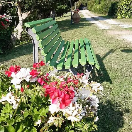 Nyaraló Roberta 